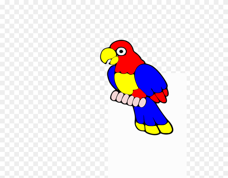 Macaw Bird Computer Icons True Parrot, Animal, Beak Free Png Download