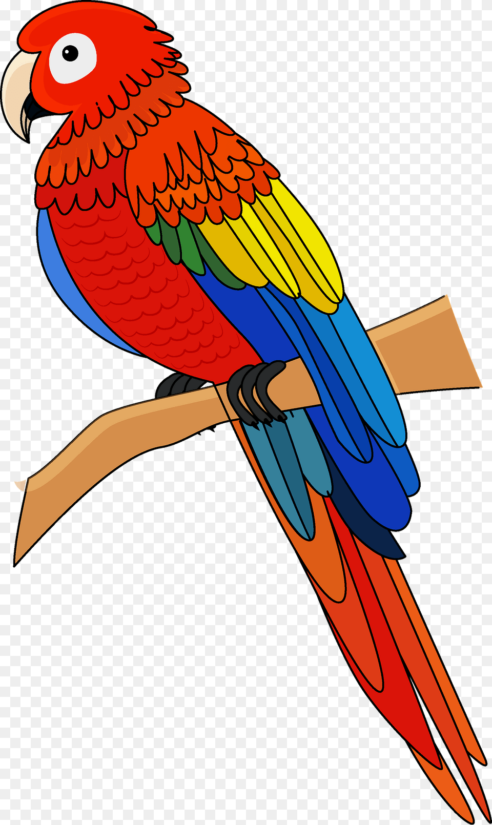 Macaw Clipart, Animal, Bird, Parrot Png Image
