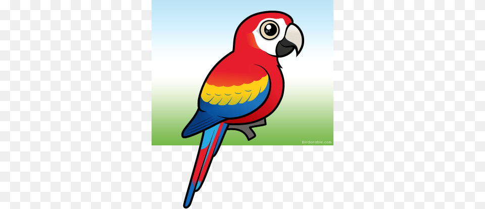 Macaw Clipart Cute, Animal, Bird, Parrot Free Png
