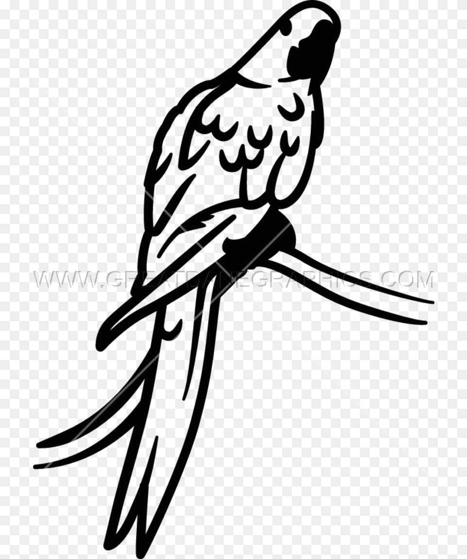 Macaw Clipart Hyacinth Macaw, Bow, Weapon, Animal, Bird Free Png