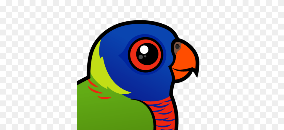 Macaw Clipart Rainbow, Animal, Beak, Bird Free Png