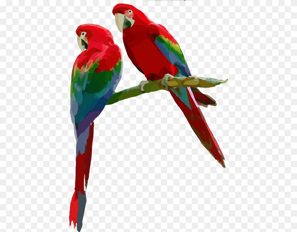Macaw Parrot Budgie Clipart Bird Sitting On A Branch Clipart, Animal Free Transparent Png