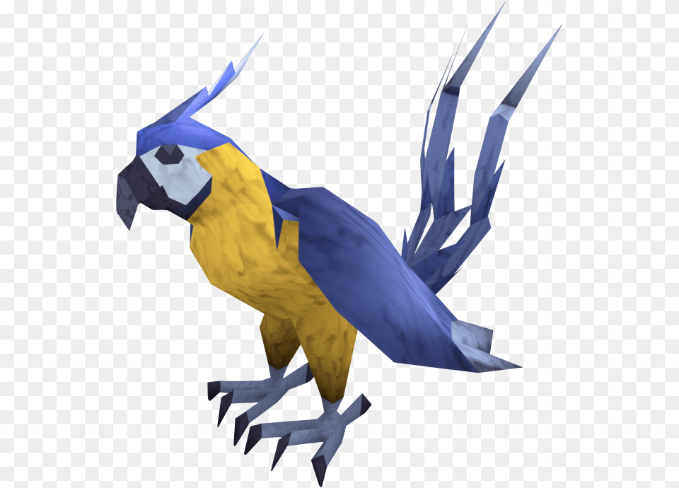 Macaw Parrots, Animal, Bird, Parrot Free Png