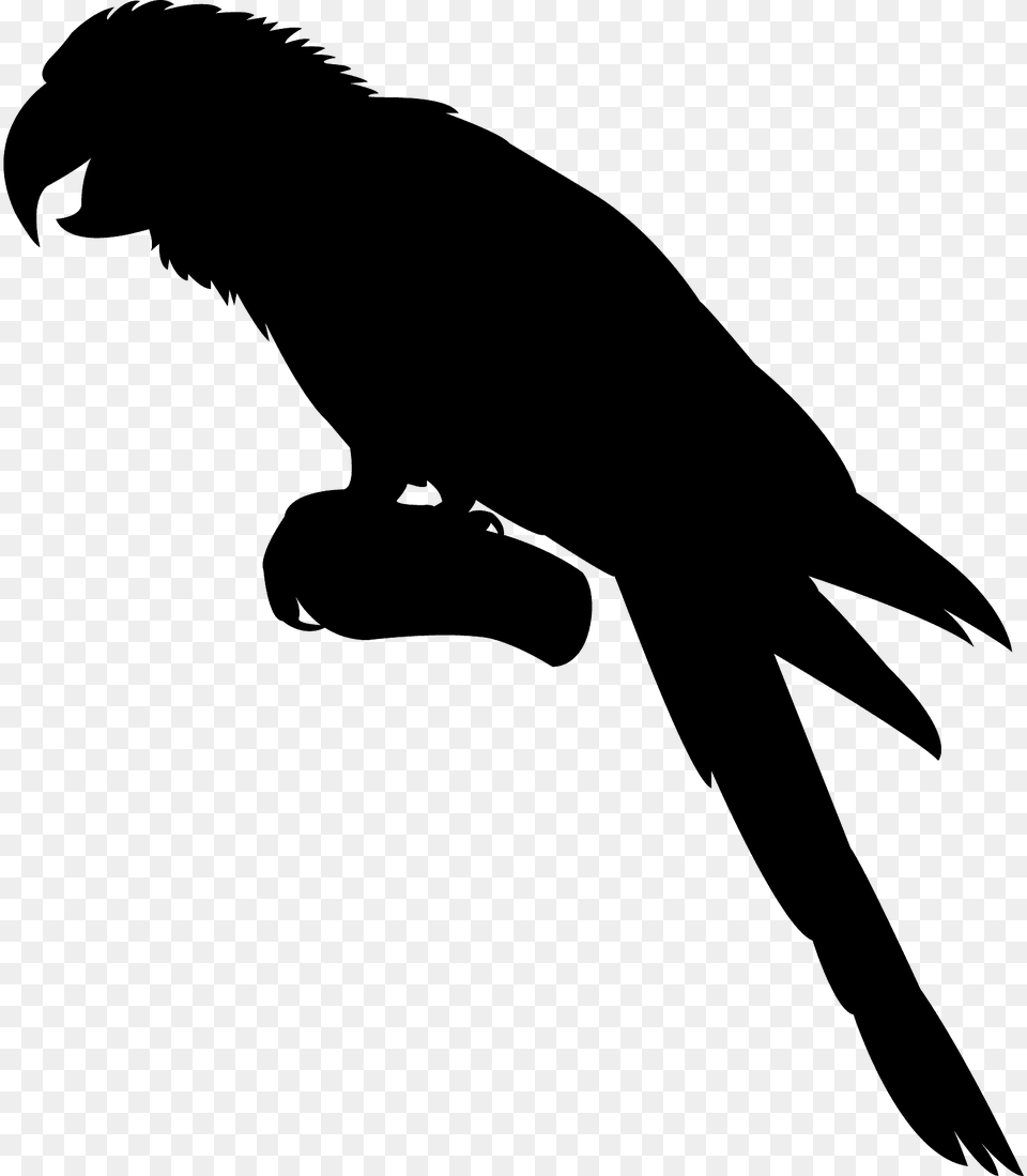 Macaw Silhouette, Animal, Beak, Bird, Electronics Free Transparent Png