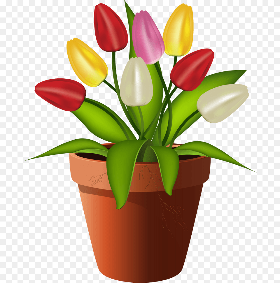 Maceta De Flores Ilustracion, Plant, Flower, Flower Arrangement, Potted Plant Free Png