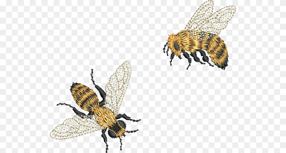 Machine Embroidery Mini Bee, Animal, Honey Bee, Insect, Invertebrate Free Transparent Png