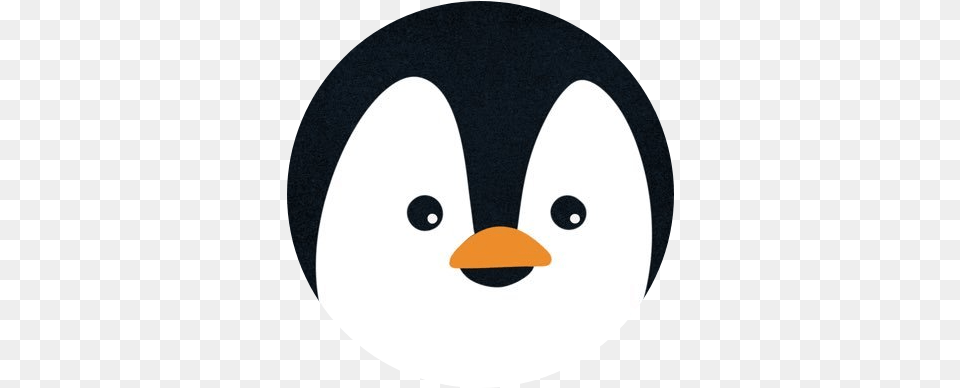 Machinist Mina Pack Cartoon Cute Penguin, Animal, Bird, Disk, Skating Png