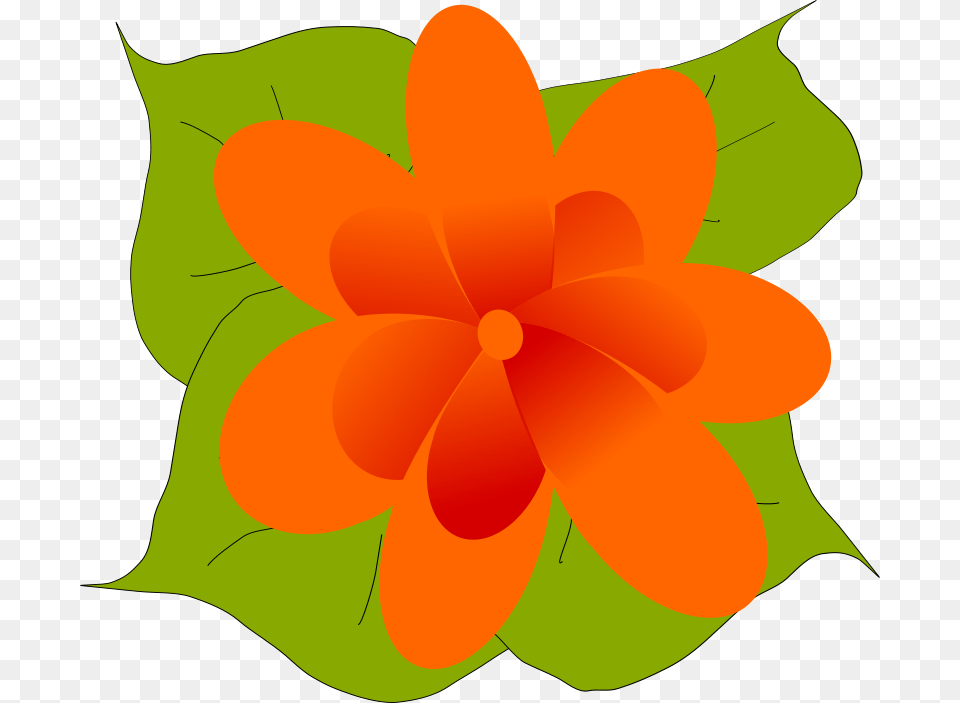 Machovka, Art, Floral Design, Flower, Graphics Free Png Download