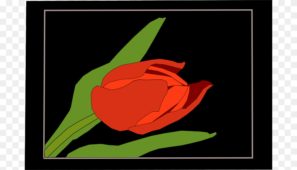 Machovka, Flower, Plant, Rose, Tulip Free Transparent Png