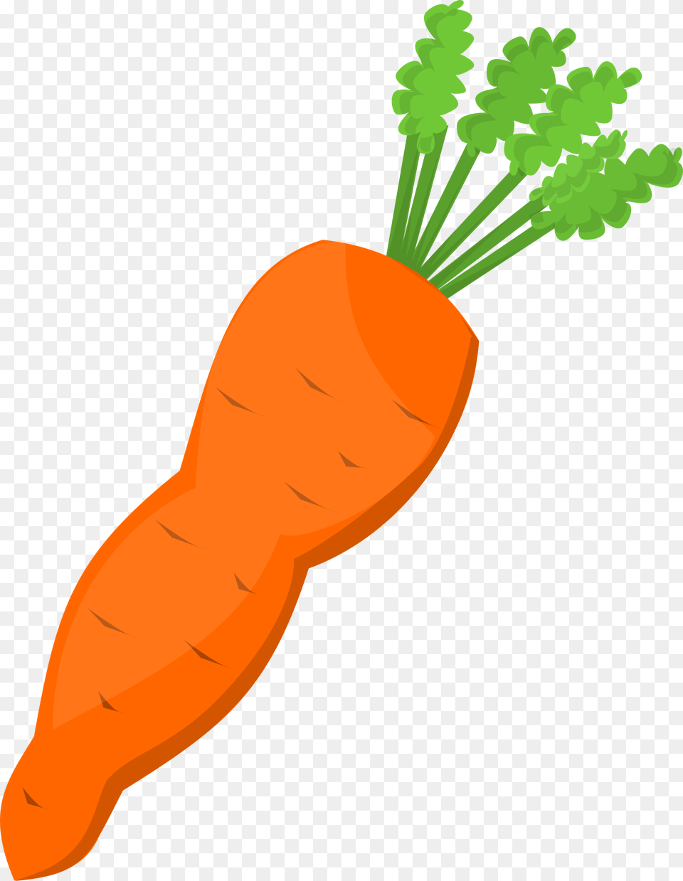 Machovka Carrot Clipart Carrot Cartoon Food, Plant, Produce, Vegetable Free Transparent Png
