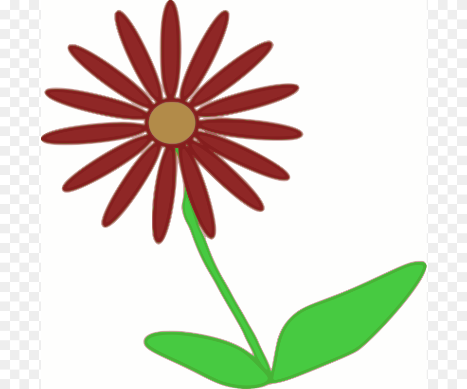 Machovka Flower2, Daisy, Flower, Plant, Petal Free Png