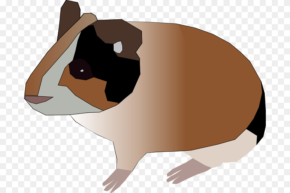 Machovka Guinea Pig, Animal, Mammal, Person Png Image