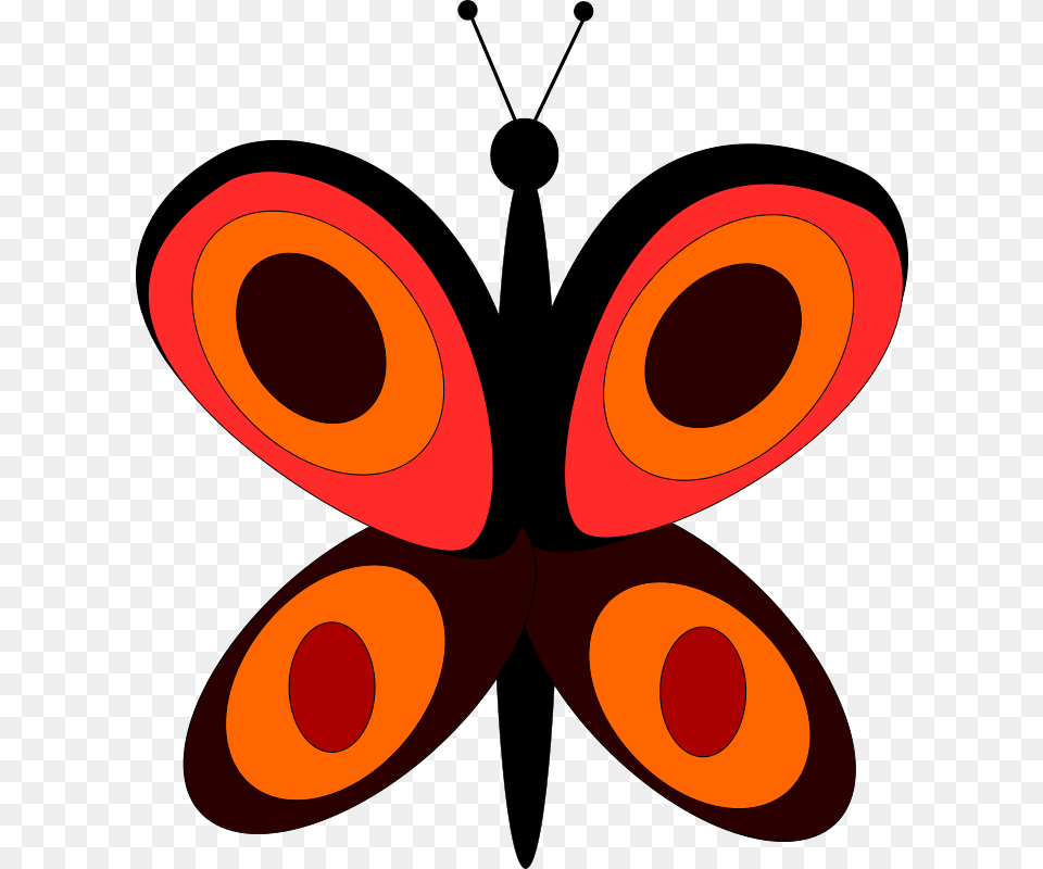 Machovka Little Butterfly Png Image