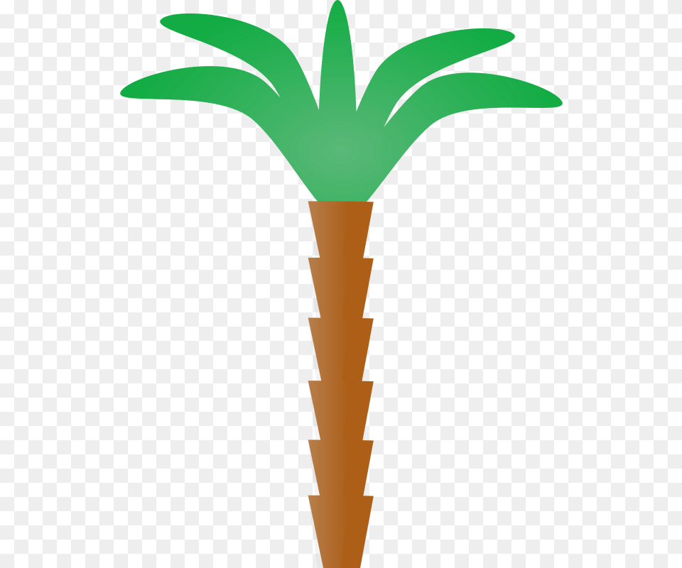 Machovka Palm, Palm Tree, Plant, Tree Png