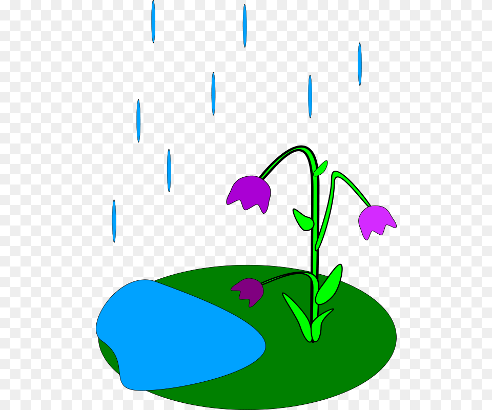 Machovka Rain, Art, Flower, Graphics, Plant Free Transparent Png