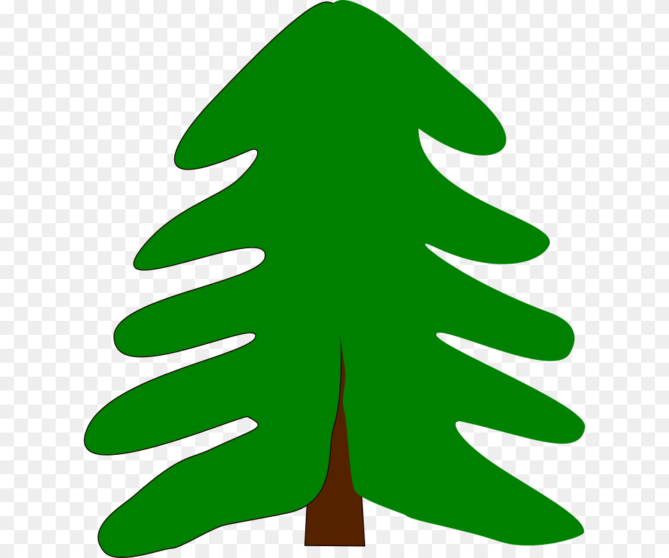 Machovka Spruce, Tree, Leaf, Plant, Fir Free Png