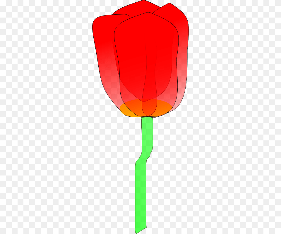 Machovka Tulip, Flower, Plant, Lamp, Food Png Image