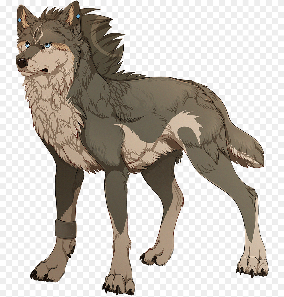 Mackenzie River Husky, Animal, Mammal, Wolf, Canine Free Png