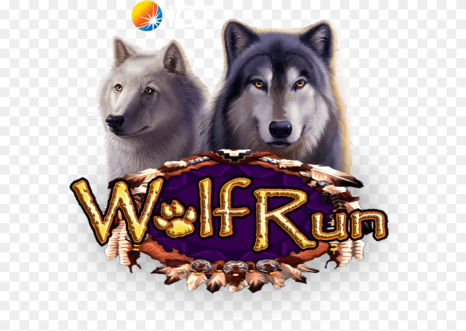 Mackenzie River Husky International Game Technology, Animal, Canine, Dog, Mammal Free Png Download