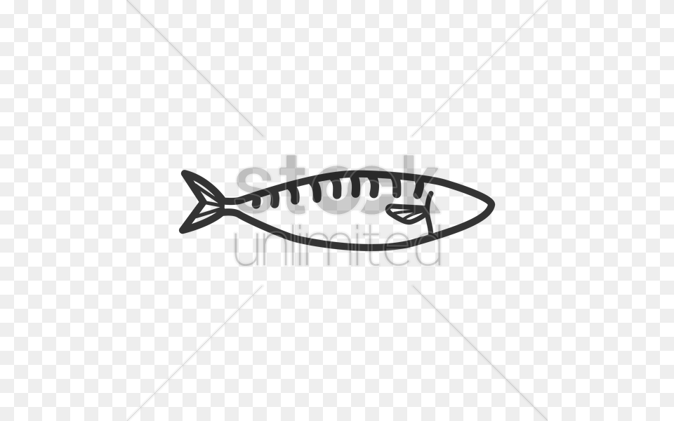 Mackerel Fish Vector, People, Person, Text Png