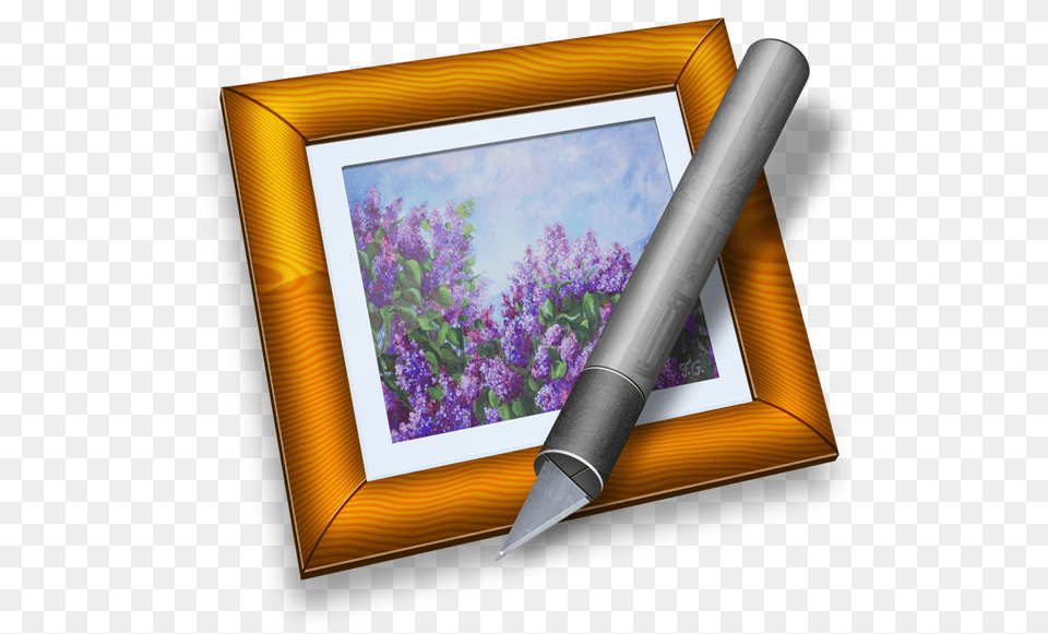 Macos, Flower, Plant, Pen, Purple Free Transparent Png