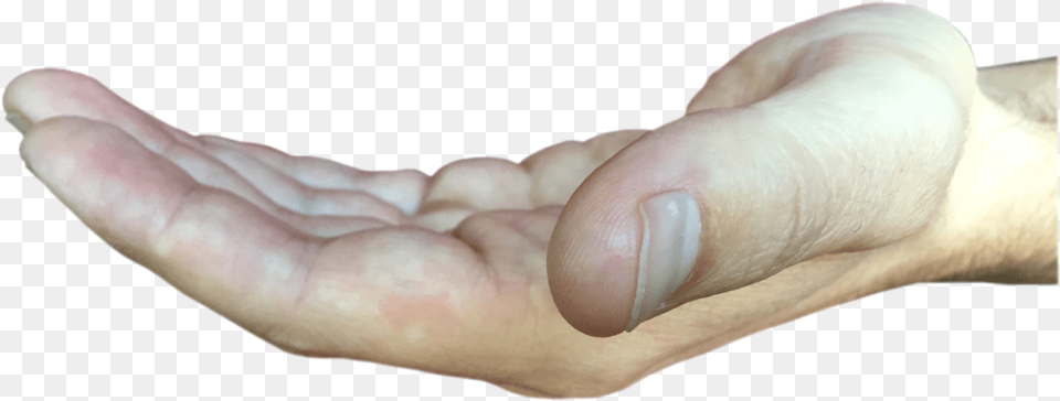 Macro Photography, Body Part, Finger, Hand, Person Free Png