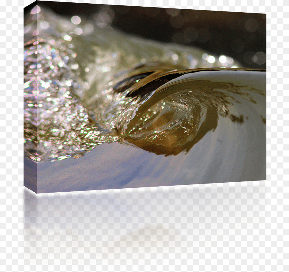 Macro Photography, Nature, Outdoors, Water, Ripple Png