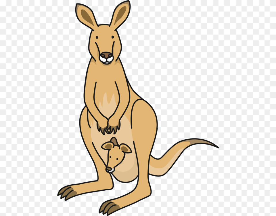 Macropods Kangaroo Drawing Mammal Diagram, Animal Free Png