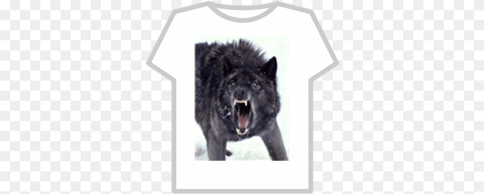 Mad Black Wolf00 Roblox Insanity Wolf, Animal, Mammal, Canine, Dog Free Transparent Png