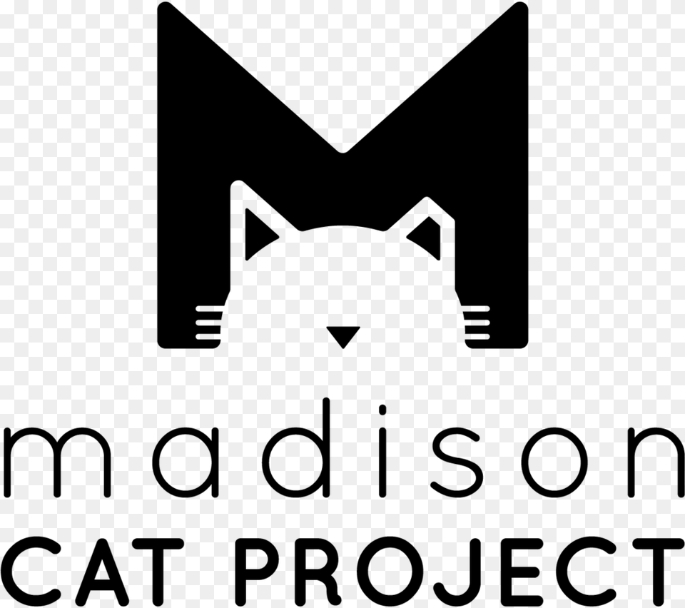 Mad Cat, Gray Png Image