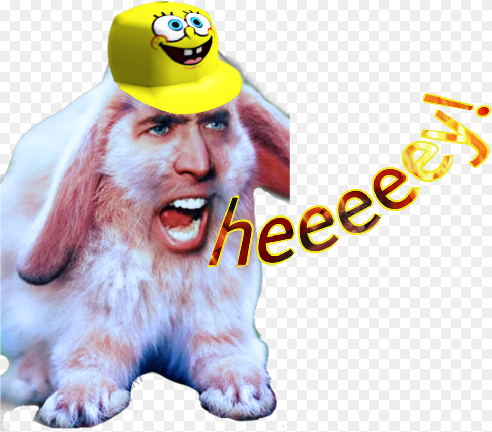 Mad Funny Cage Nicolas Nicolascage Strange Rabbit Nicolas Cage Photoshop, Clothing, Hat, Baby, Person Png