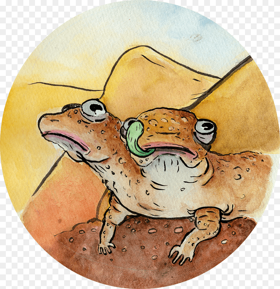 Mad Max Toad, Animal, Art, Reptile, Dinosaur Free Transparent Png