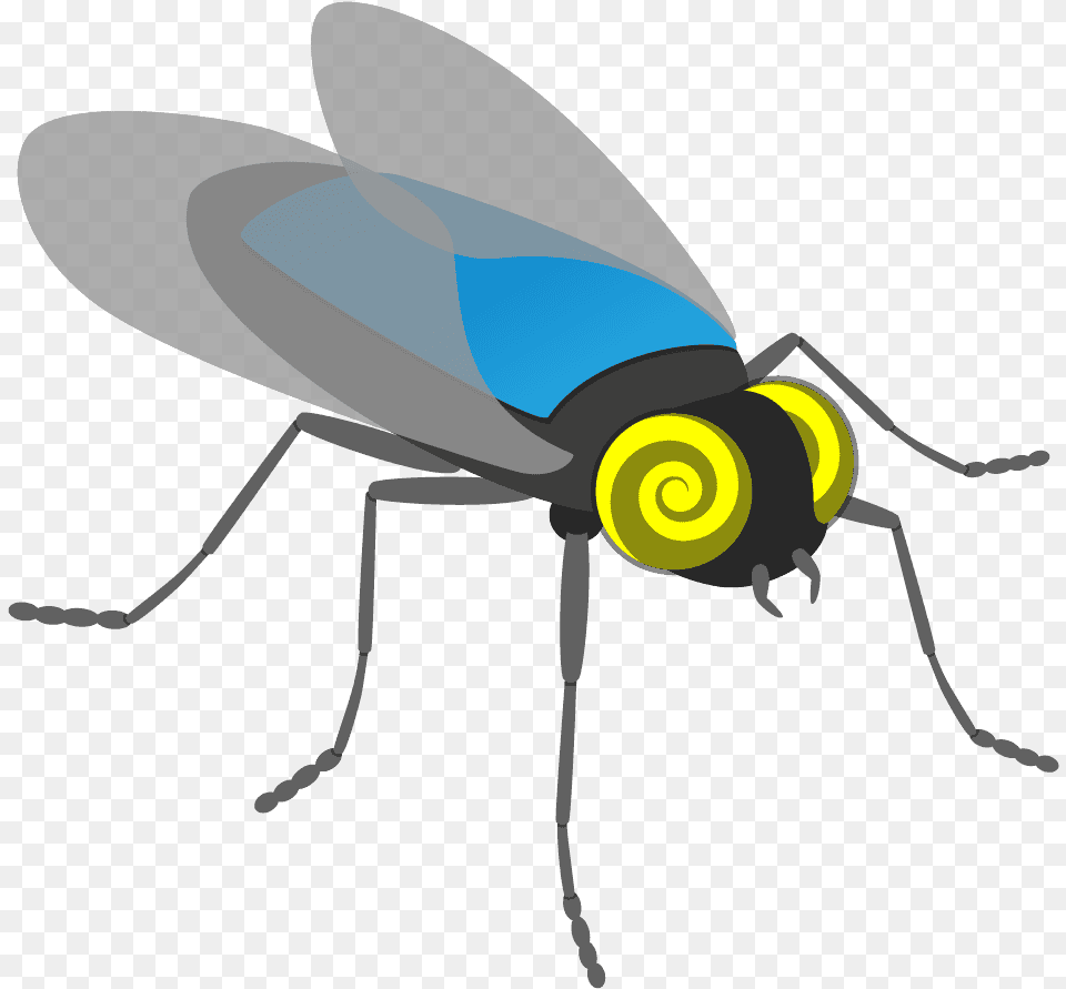 Mad Scientist, Animal, Bee, Insect, Invertebrate Png