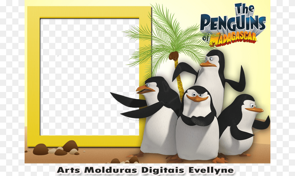 Madagascar, Animal, Bird, Penguin Free Png