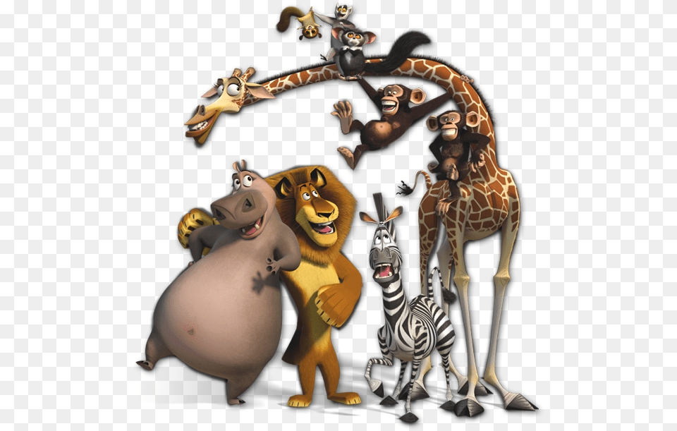 Madagascar, Animal, Mammal, Wildlife, Zebra Png