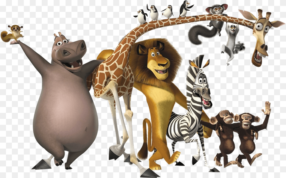 Madagascar Characters, Animal, Penguin, Bird, Wildlife Free Transparent Png