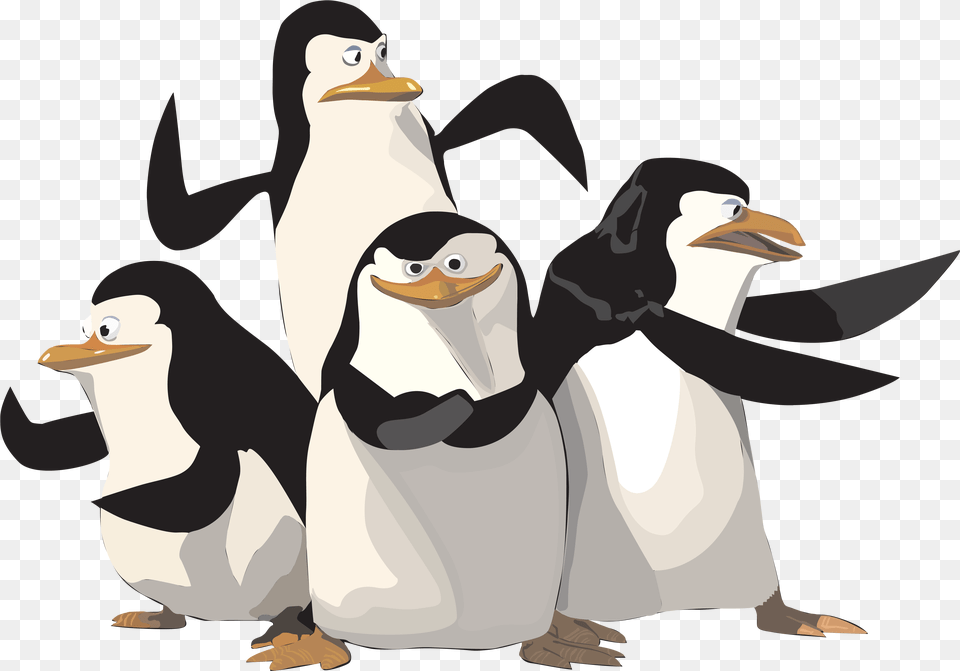 Madagascar Penguin Penguins Of Madagascar, Animal, Bird, Adult, Female Png Image