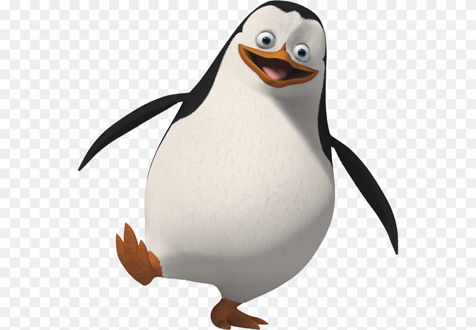 Madagascar Penguin Madagascar Penguin Madagascar, Animal, Bird Free Png Download