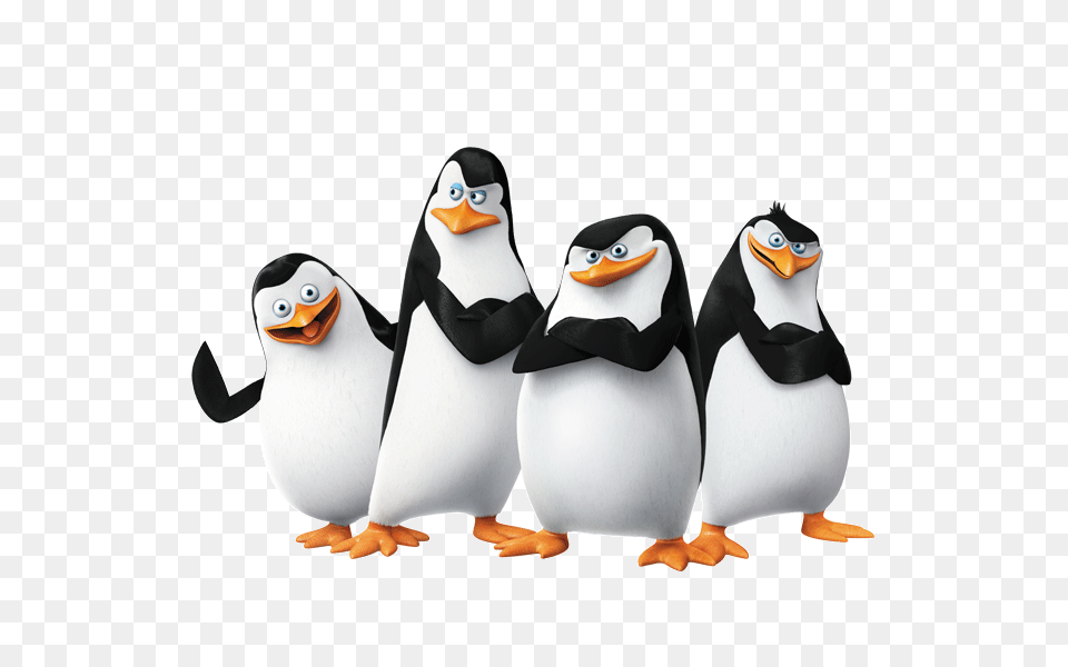 Madagascar Penguins, Animal, Bird, Penguin Free Png Download