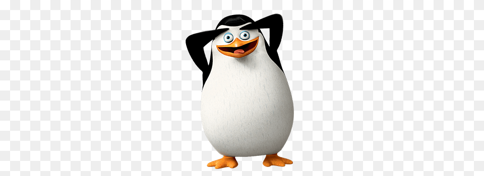 Madagascar Penguins, Animal, Bird, Penguin, Mammal Free Transparent Png