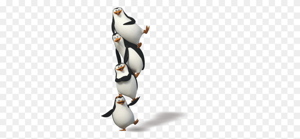 Madagascar Penguins, Animal, Bird, Penguin Free Transparent Png