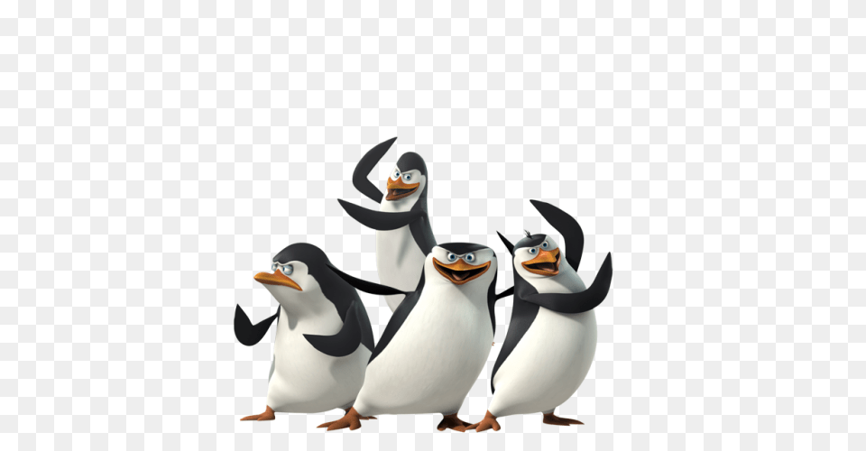 Madagascar Penguins, Animal, Bird, Penguin Free Transparent Png