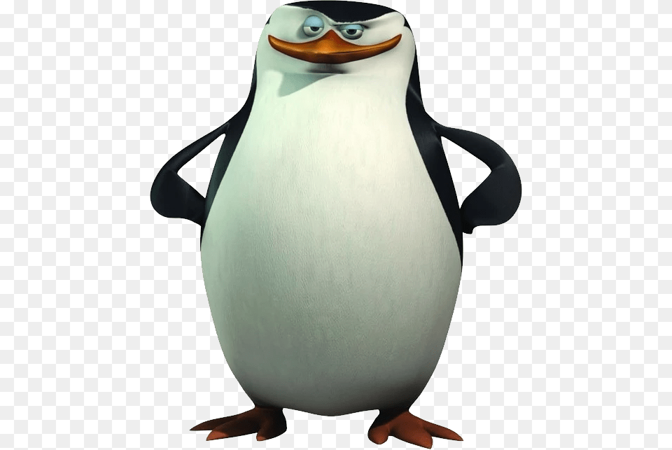 Madagascar Penguins, Animal, Bird, Penguin, King Penguin Png Image