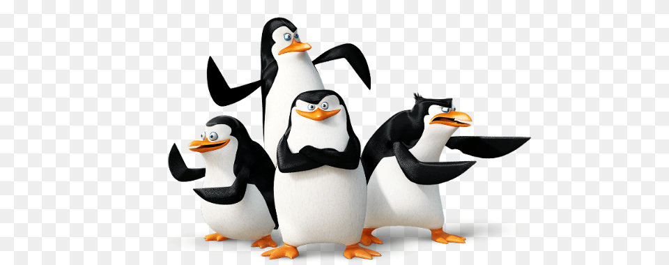 Madagascar Penguins, Animal, Bird, Penguin Png