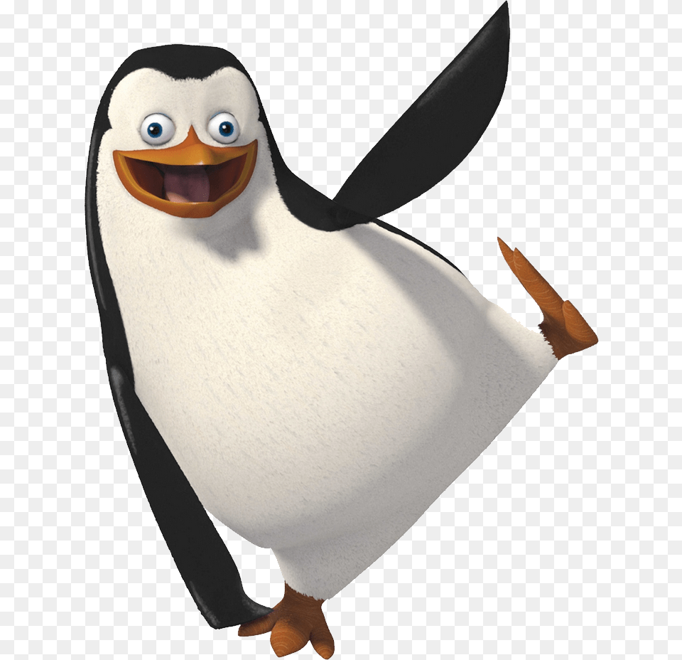 Madagascar Penguins, Animal, Bird, Penguin Free Transparent Png