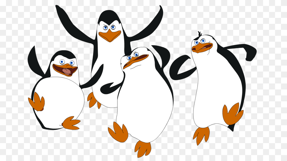 Madagascar Penguins, Animal, Bird, Penguin, Beak Free Png