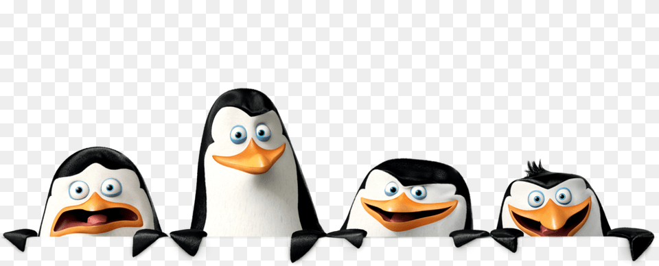 Madagascar Penguins, Animal, Bird, Penguin, Face Free Png