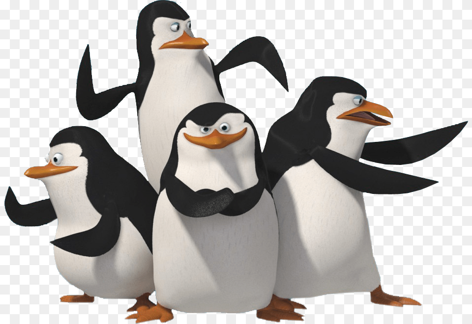 Madagascar Penguins, Animal, Bird, Penguin Free Png
