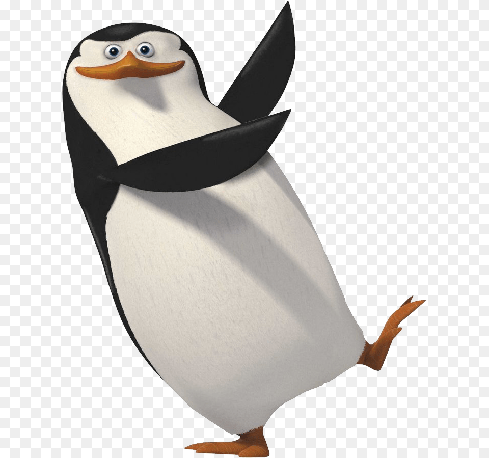 Madagascar Penguins, Animal, Bird, Penguin Free Png