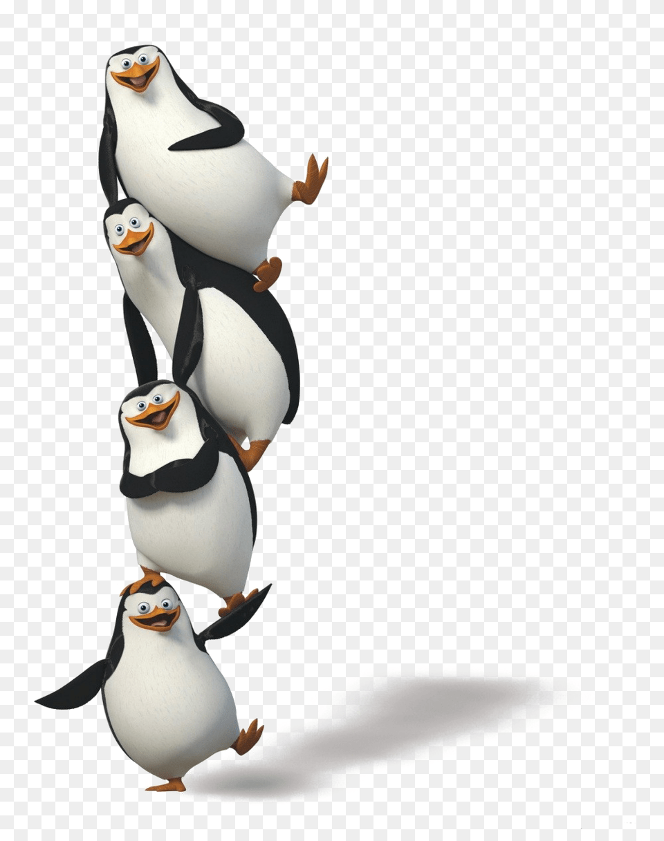 Madagascar Penguins, Animal, Bird, Penguin Free Transparent Png